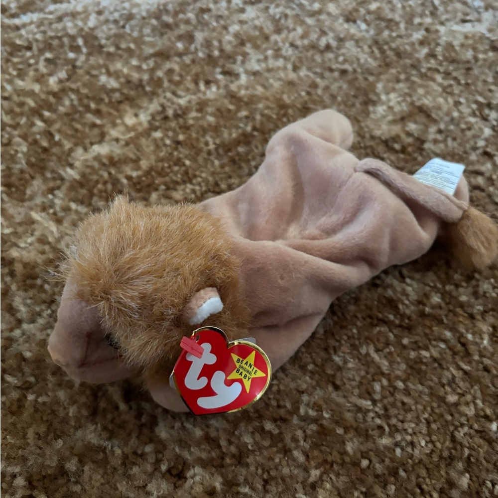 TY Beanie Baby named Roary